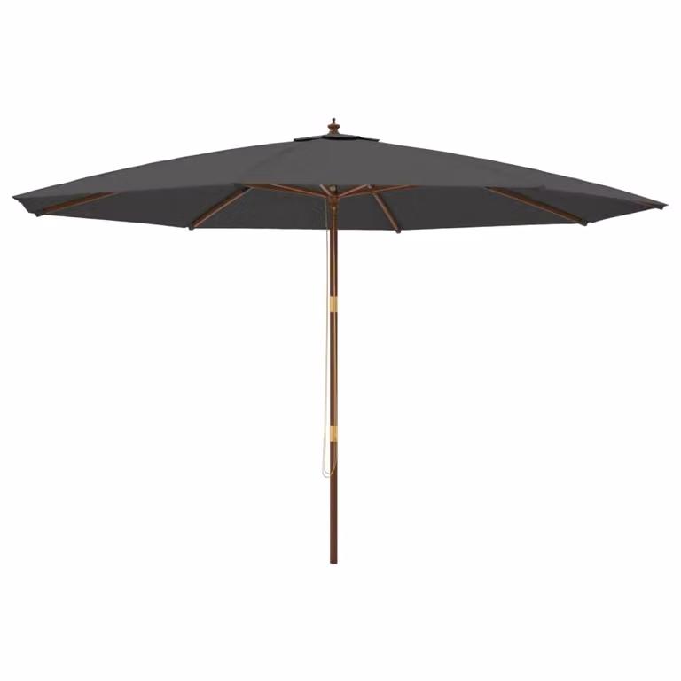 Ombrellone da Giardino con Palo in Legno Antracite 400x273 cm