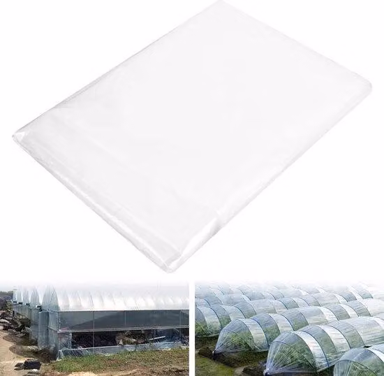 Copertura trasparente in polietilene, telo da giardino trasparente extra spesso e resistente agli strappi, per coprire orti, telo per tunnel, telo per tunnel da pomodori, 2 x 3 m, grande, verde, per il giardino