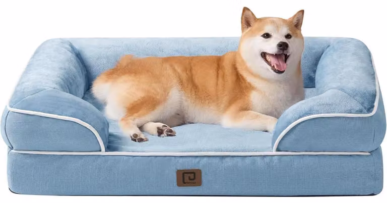 Cuccia ortopedica per cani, 91x68 cm, con imbottitura in memory foam e bordo rialzato, azzurra chiara, lavabile, impermeabile e antiscivolo