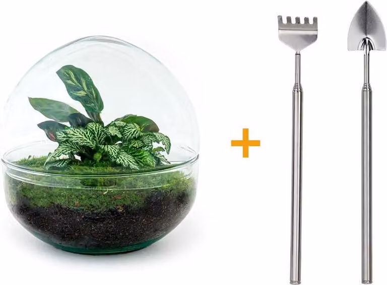Terrario fai da te - Cupola - ↕ 20 cm