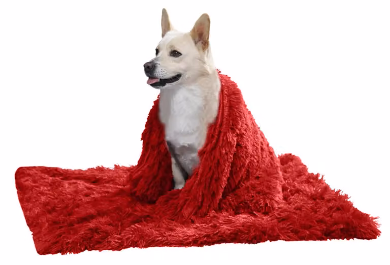 Cuccia in peluche morbida per cani di taglia grande e media