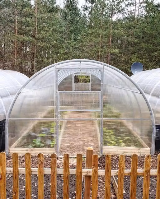 Serra da giardino Palram OPTIMA con rivestimento in policarbonato trasparente e struttura in acciaio zincato L: 6 m, P: 2,5 m, H: 2 m