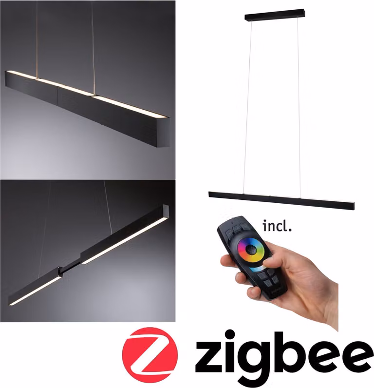 Lampada a sospensione Paulmann LED Aptare