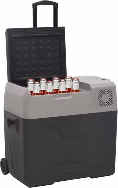 Borsa Frigo con Ruote vidaXL Nera e Grigia da 40 L in Plastica