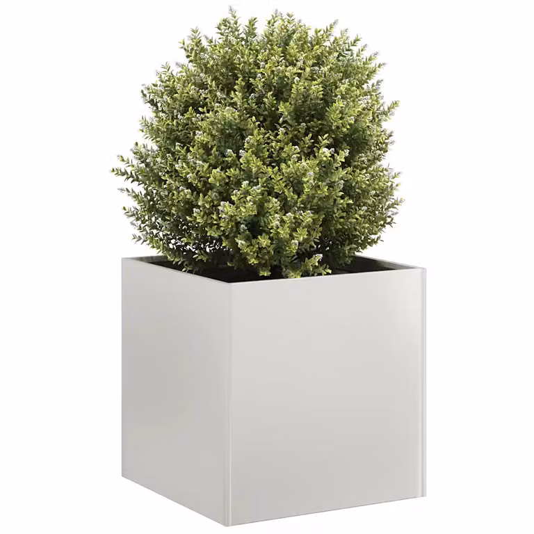 Fioriera vidaXL in acciaio inox argento per orto e giardino L/P/H: 40 x 40 x 40 cm