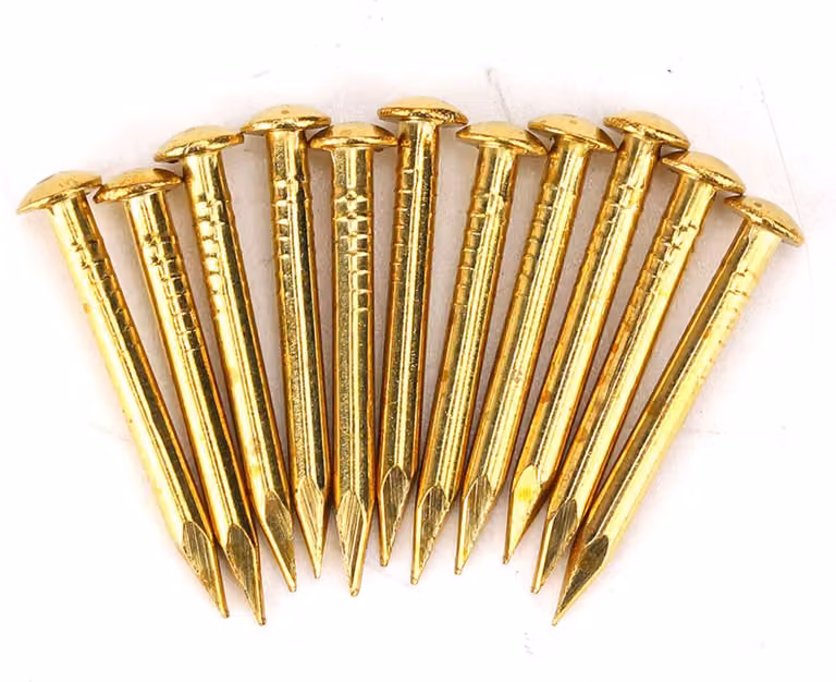 100 pezzi di chiodi a testa semitonda in ottone, accessori per cerniere di montaggio per mobili da 22 mm, più resistenti