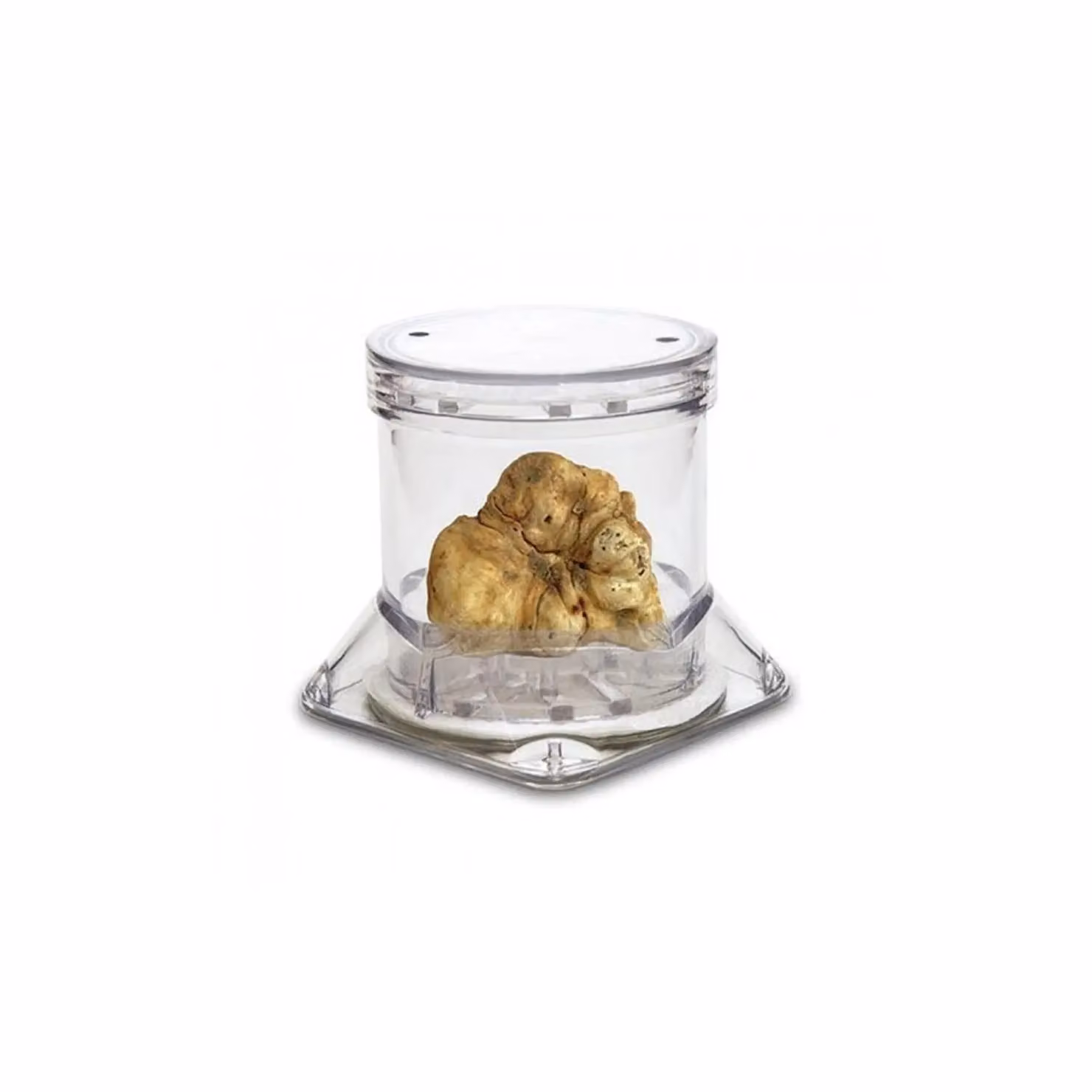 Vasetto conserva tartufi Tuber-Pack di Sanelli Ambrogio
