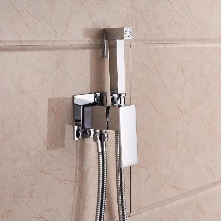 Accessori per il bagno: bidet, soffione doccia, miscelatore monocomando da parete, con controllo dell'acqua calda e fredda, doccetta manuale, installazione monoblocco, finitura cromata
