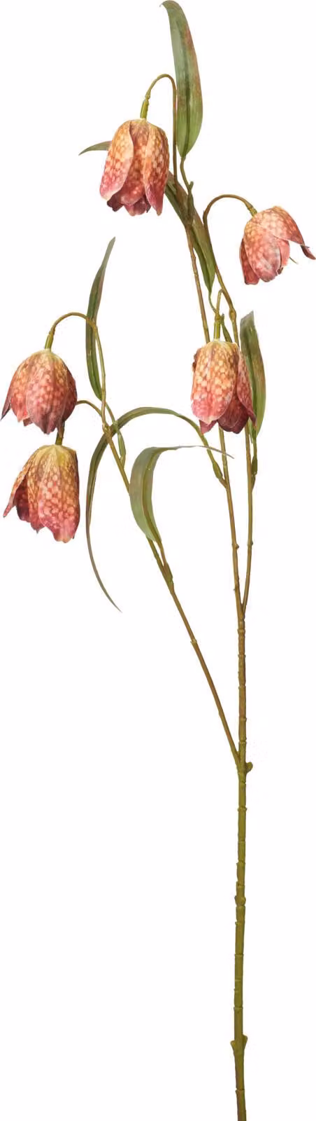 Ramo decorativo artificiale di ribes, 59 cm, colore rosso, marca H&L