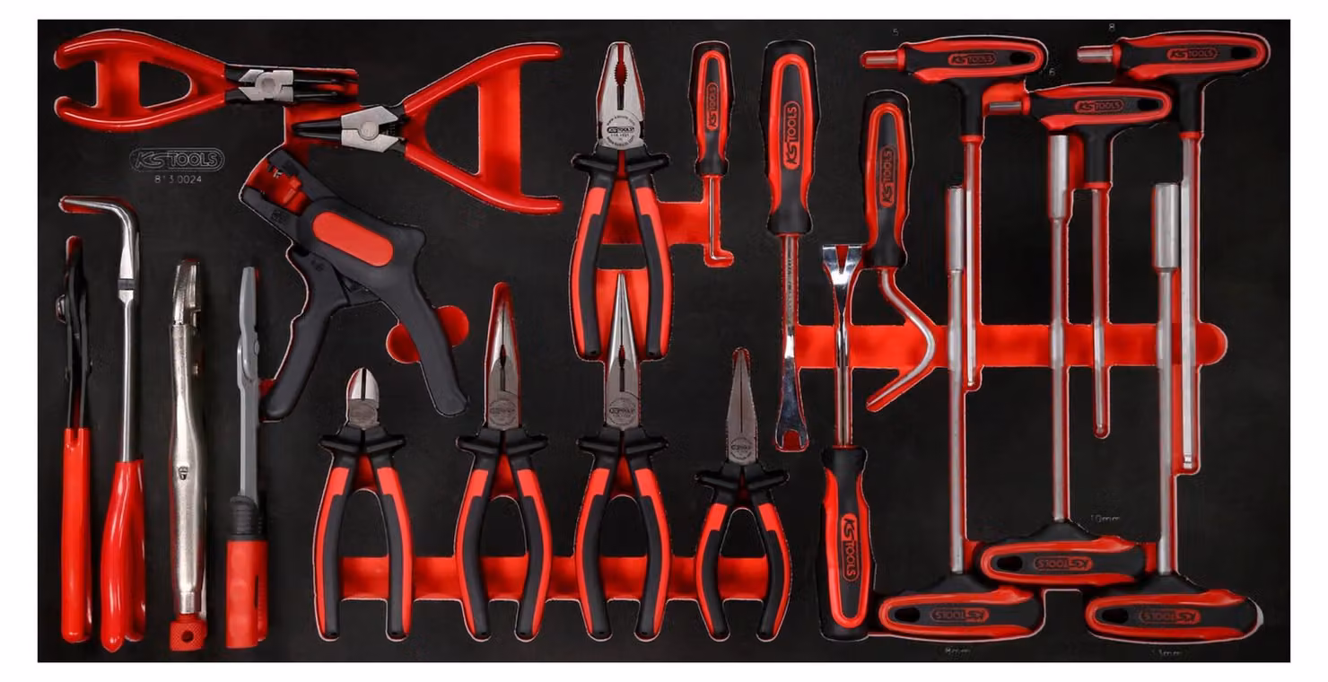 KS TOOLS Set di pinze e chiavi angolari con impugnatura a T e inserto in schiuma 24 pezzi - 813.0024