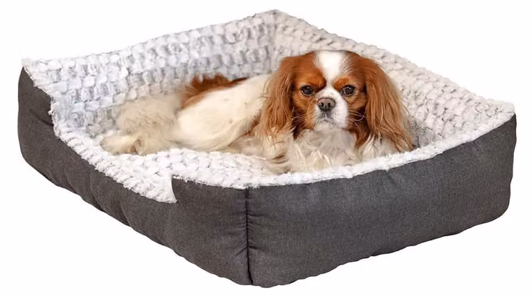 Ferplast Bett Sweetie 70 74X61X19Cm