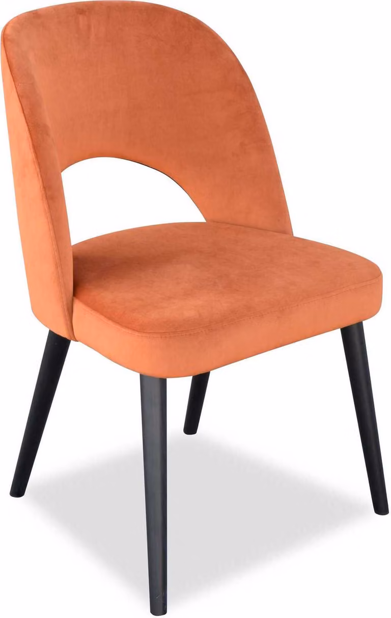Luxus Design Polster Stuhl Esszimmerstuhl Sitz Lehn Esszimmer Holz