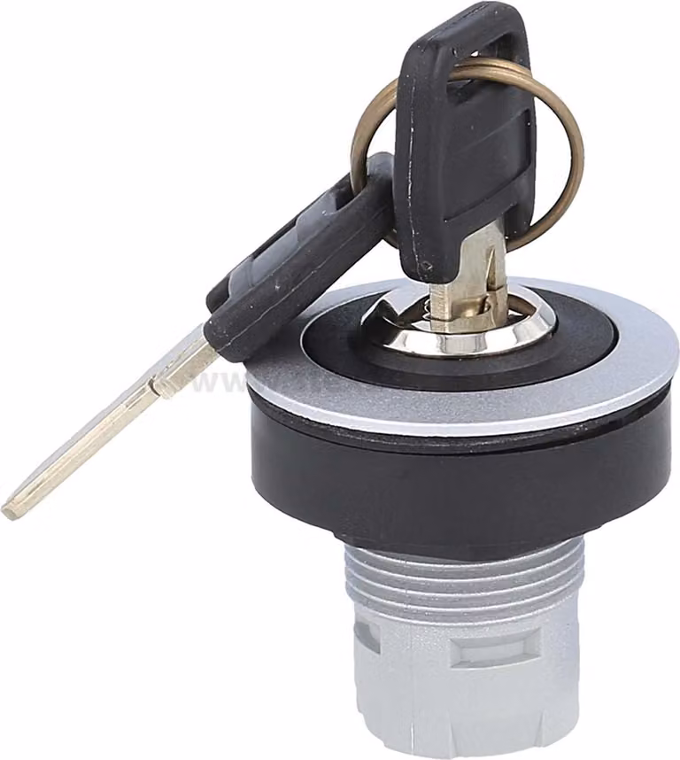Georg Schlegel Chiave tonda a tastare, RONTRON-R-JUWEL Illuminabile: No Scrivibile: No - 1 pezzo