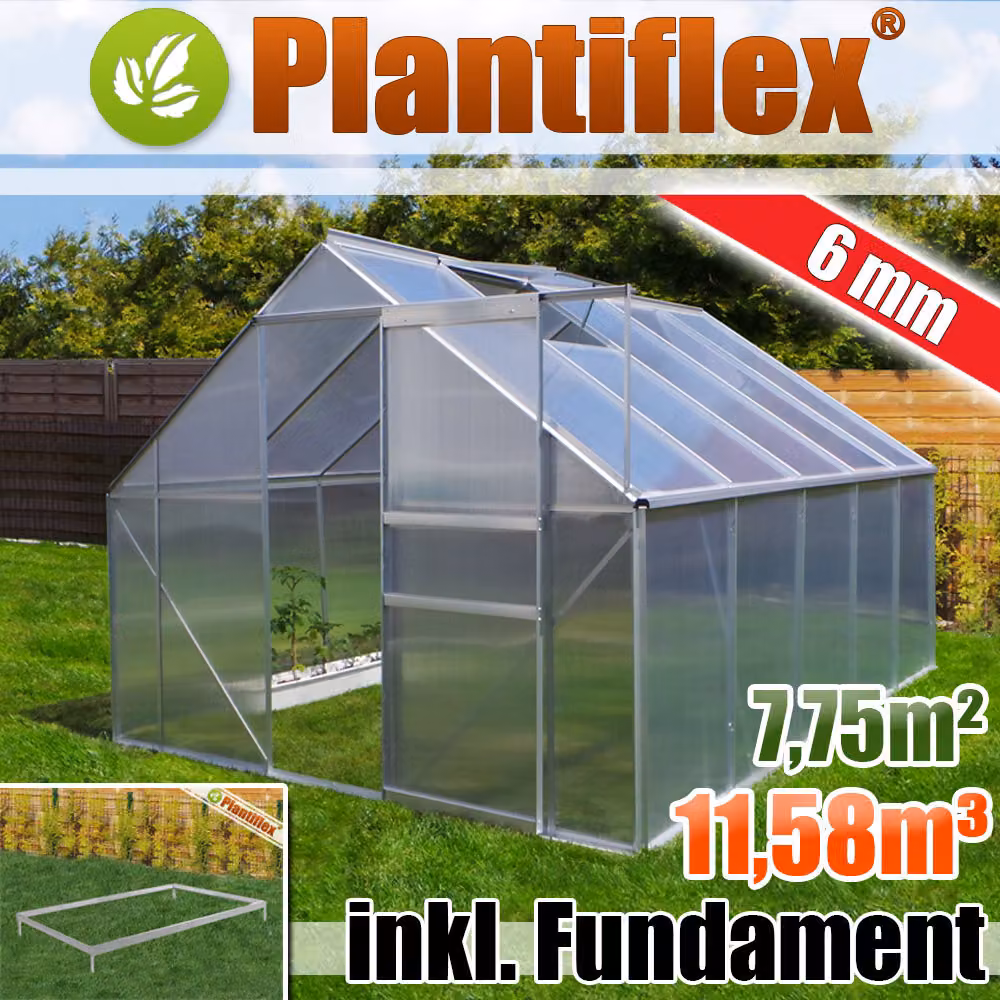 Serra in alluminio 11,58m³ con fondazione 250x310cm casa per piante da giardino serra in alluminio casa per pomodori 7,75m² - vetro 6mm - argento
