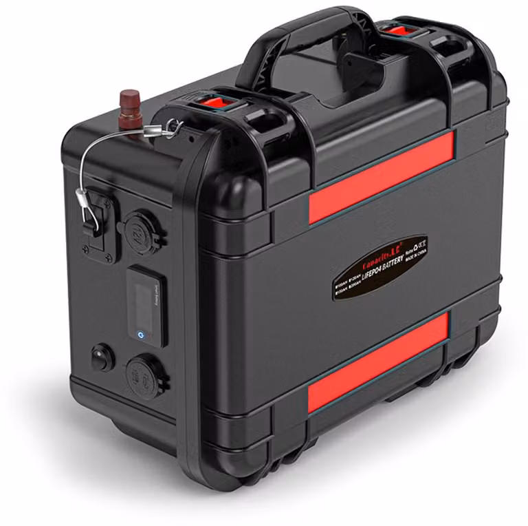 Batteria LiFePO4 - 12,8V 100Ah - Fonte di energia al litio ricaricabile con BMS - 12 kg