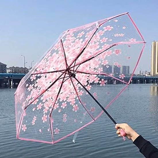 Ombrello rosa trasparente con motivi floreali, pieghevole e decorativo