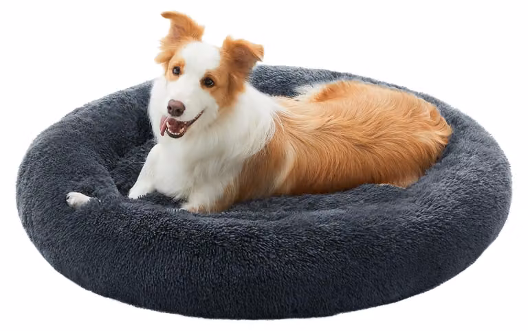 Cuccia per cani Feandrea, morbida e lavabile, con pelo lungo, diametro 90 cm – Taglia L, 90 x 90 x 20 cm, colore grigio scuro