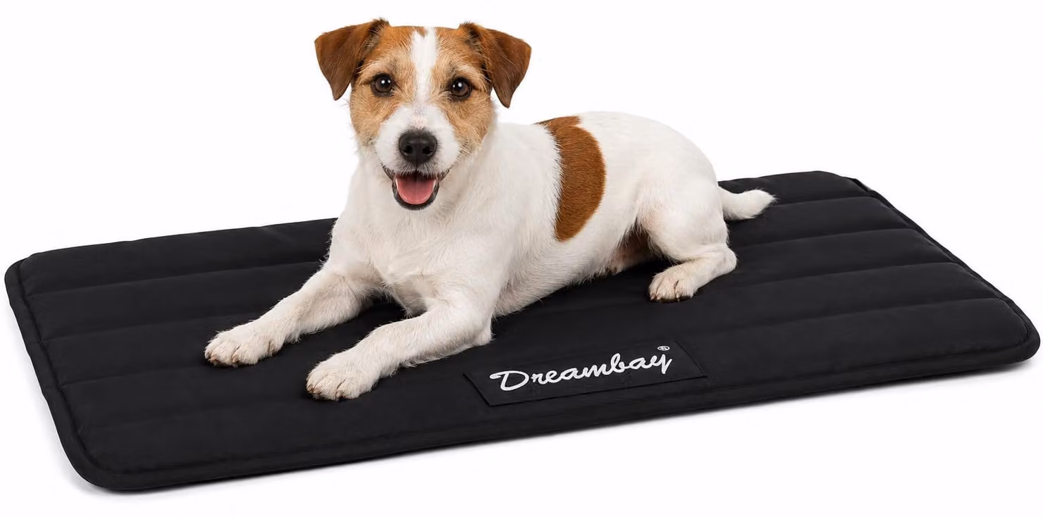 Cuccia per cani Flamingo - cuccia ortopedica per gatti Dreambay® nera - ortopedica