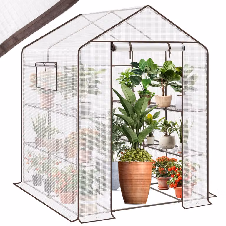 Serra da giardino in plastica, dimensioni XXL, 200 x 145 x 145 cm, serra per coltivazione con 10 ripiani