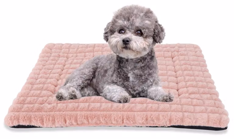 Cuccia per cani rosa, 90x60 cm - Cuscino morbido e antiscivolo per animali domestici