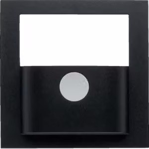 Berker 80960485 Coperchio KNX PIR S.1/B.x antracite, opaco