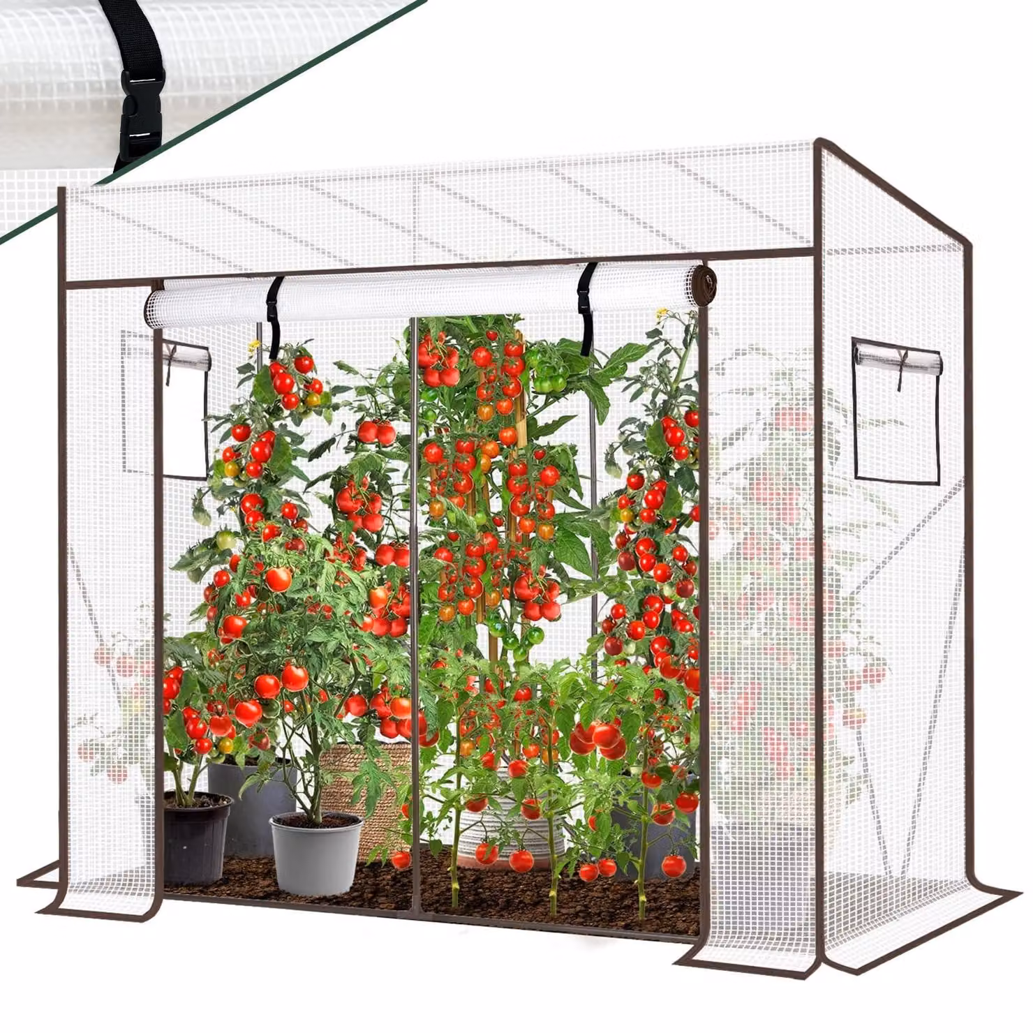 Serra per pomodori con sistema di ventilazione