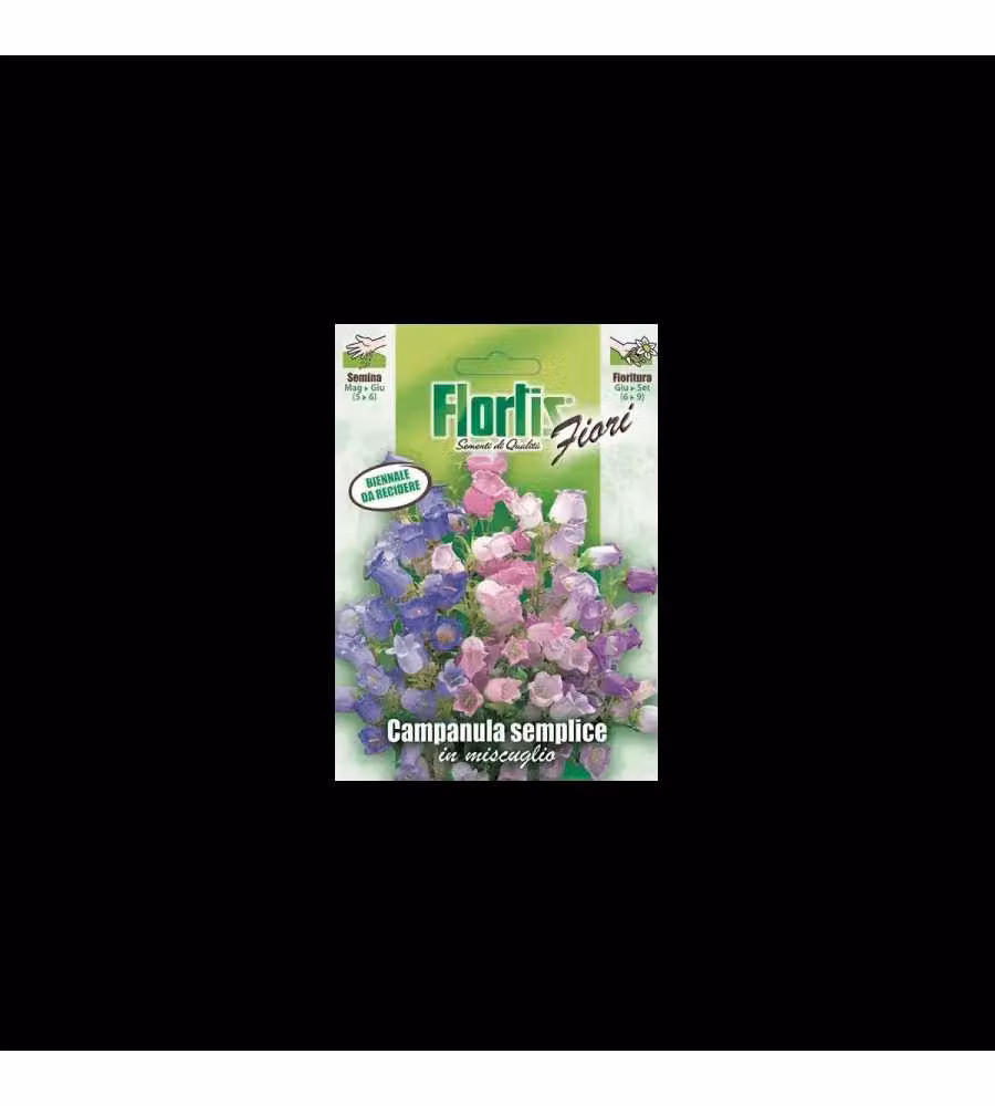 Mix Semi Campanula semplice - Aiuole annuali - Fioritura giugno-settembre