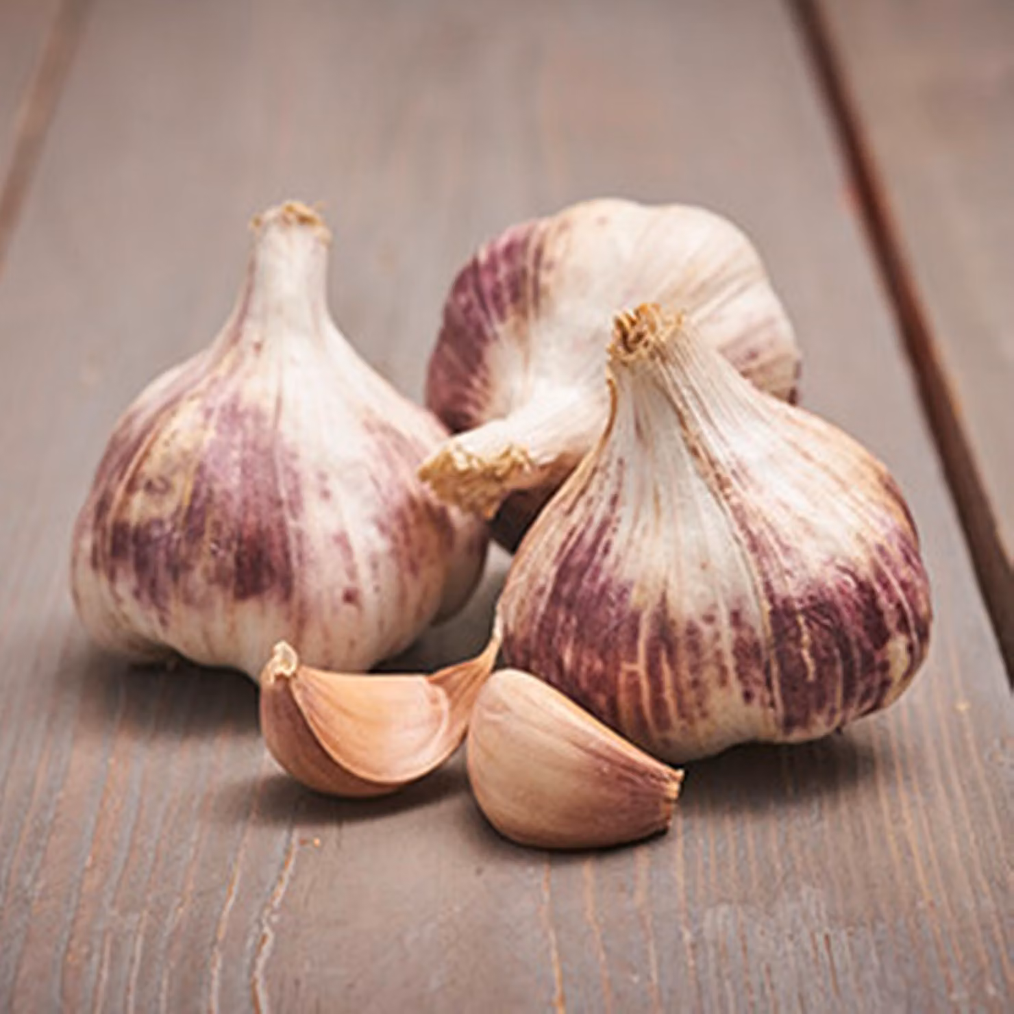 Aglio invernale Aglio viola Germidour commestibile 0,25 kg