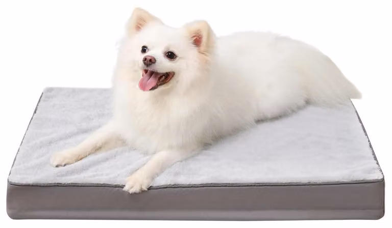Cuccia ortopedica per cani, lavabile, grigia, 58x43x7 cm, imbottitura in memory foam