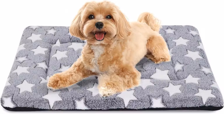 Cuccia ortopedica per cani, 100x70 cm, in memory foam, lavabile, adatta ai cani