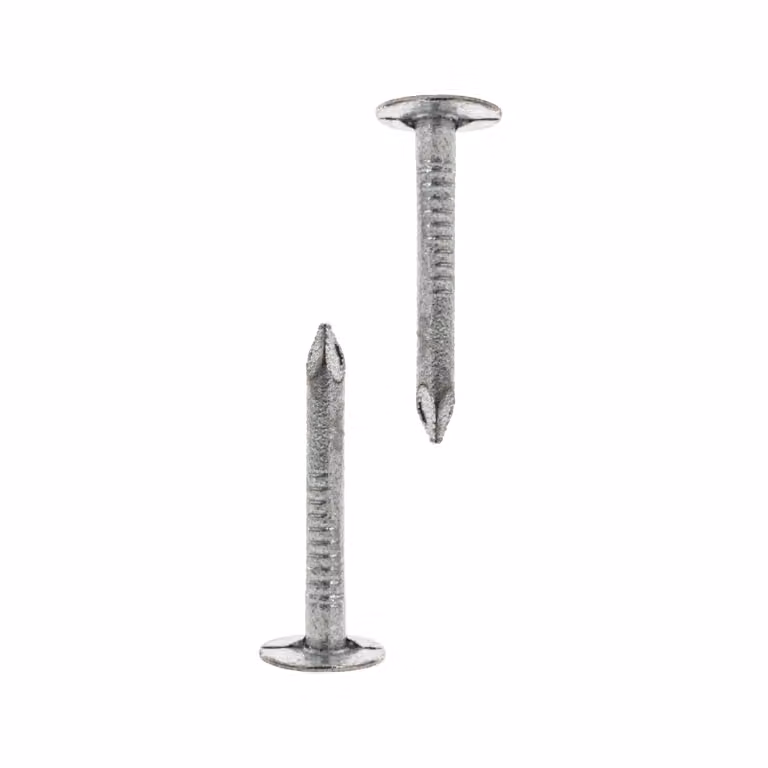 HELPMATE - Chiodi per feltro per tetti 2,0x16 mm zincati meccanicamente - 1kg chiodi per feltro per tetti tipo B - chiodi per feltro per tetti DIN 1160 B - chiodi per tetti ideali per feltro per tetti, teloni di plastica e ardesie