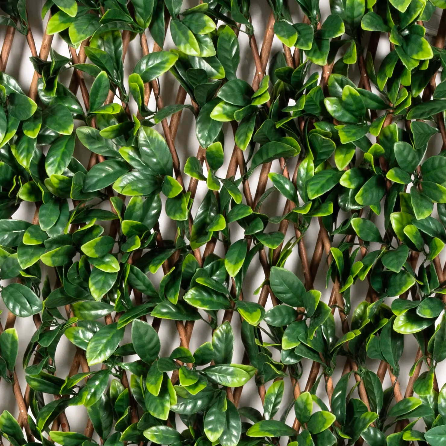 Siepe Artificiale Estensibile Foglie di Mirto Cerato Verde Vestiamo Casa Giardino H: 90 cm, L: 180 cm – 2