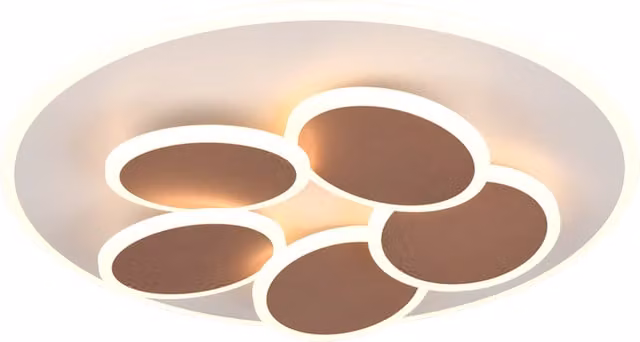 Plafoniera LED Trio Leuchten in metallo marrone con design moderno e rotondo, D 50 cm