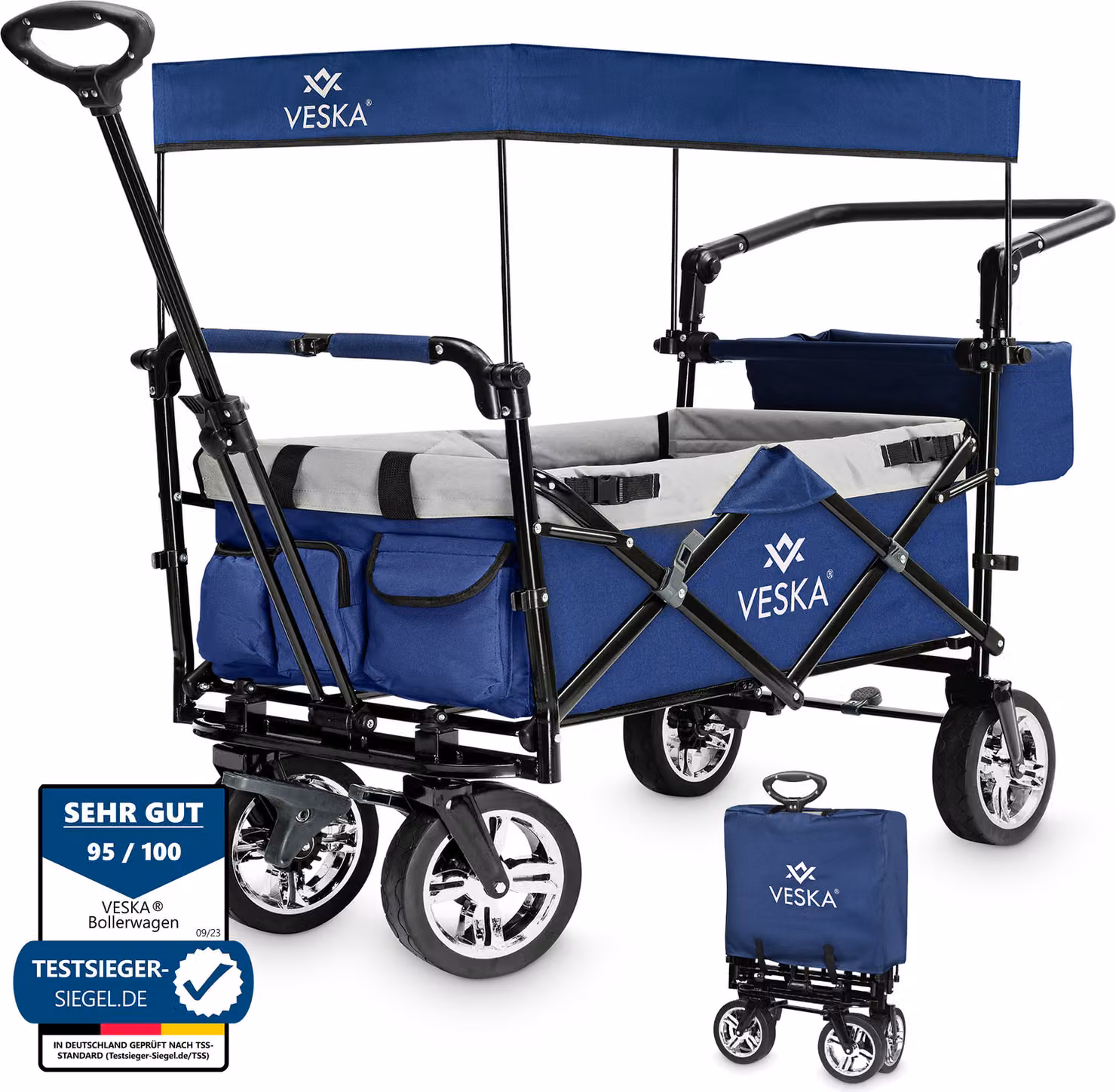 Carrello pieghevole con tetto Carrello da trasporto, 2 posti con sistema di cinture a 3 punti, pieghevole, pneumatici in gomma piena, fino a 80 kg, freni anteriori e posteriori + borsa di trasporto - blu/grigio