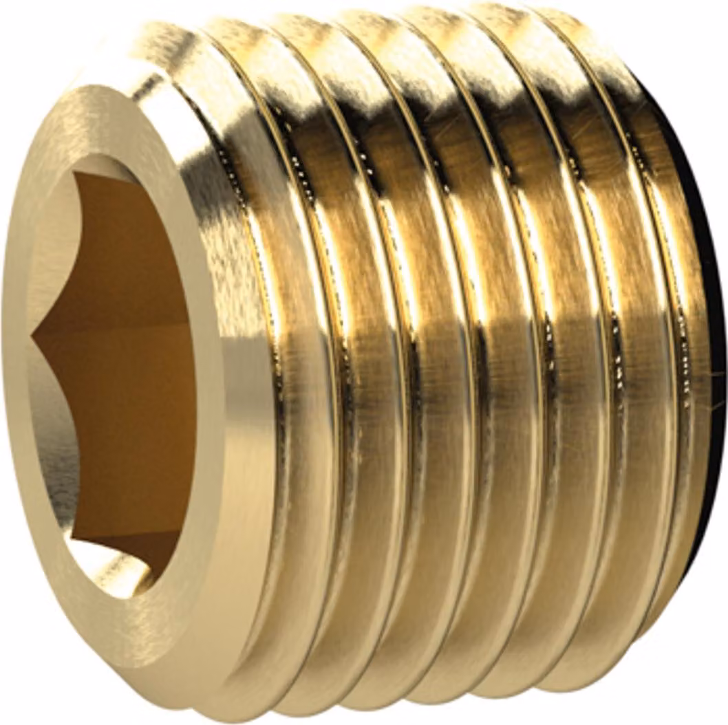 Tappo a vite Riegler, esagono incassato, senza collare, G 2, SW 32, MS