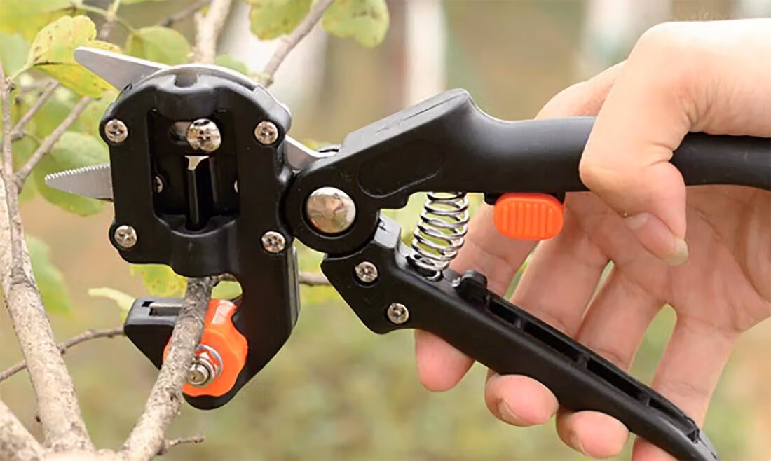 cesoie da giardino 21 cm in acciaio inox