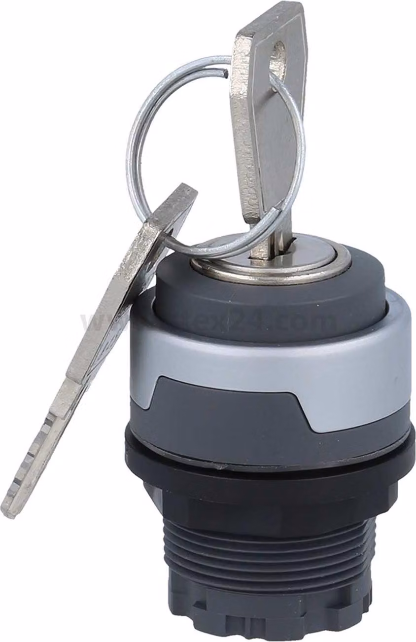 Georg Schlegel Chiave di sicurezza rotonda, RONDEX-M Illuminabile: No Scrivibile: No - 1 pezzo