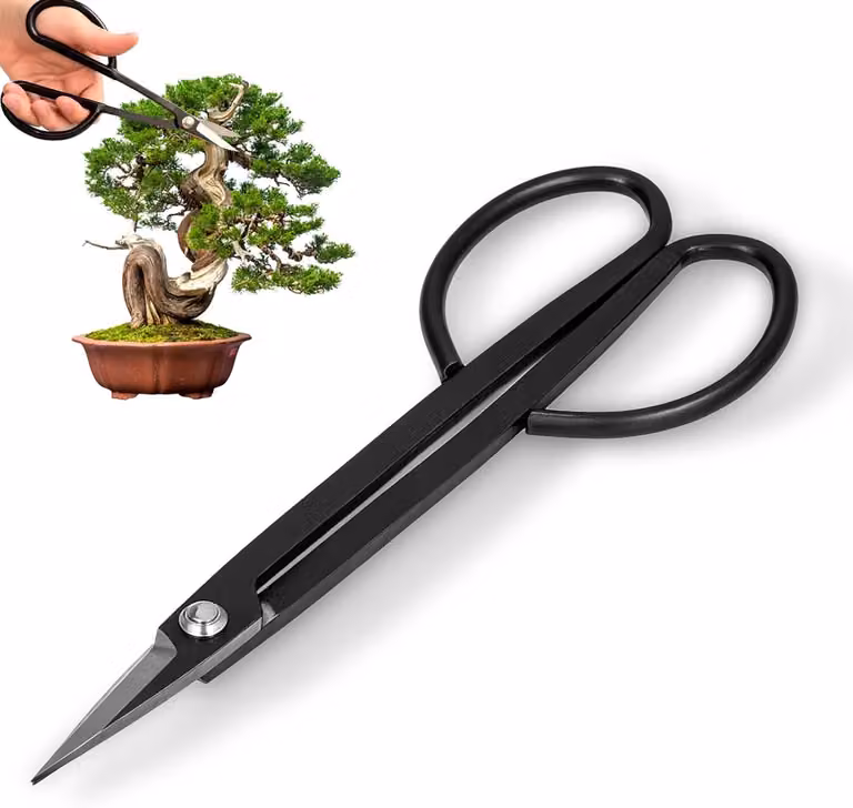 Forbici per bonsai - Forbici da potatura - Forbici in acciaio affilate per potare, modellare e disporre i fiori