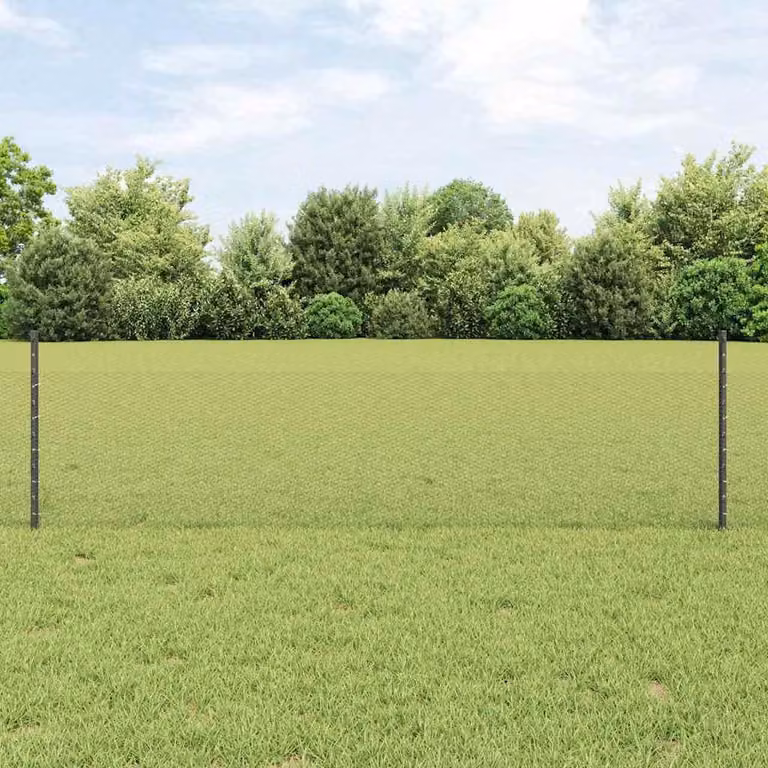 Maison Exclusive - Recinzione con Posto Grigio 0,5 x 10 m Acciaio e PVC