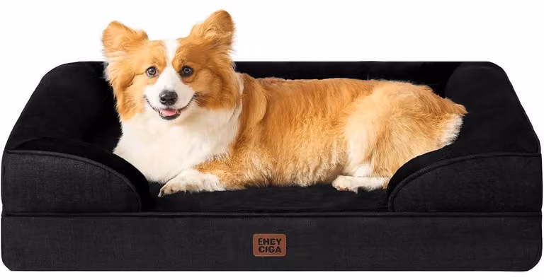 Cuccia ortopedica per cani, 91x68 cm, con imbottitura in memory foam, bordo rialzato, lavabile, impermeabile, antiscivolo, colore nero