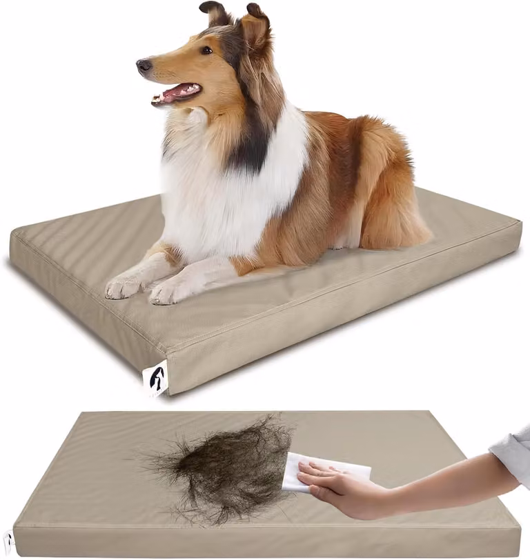Cuccia per cani XL, realizzata con schiuma ortopedica a forma di uovo, impermeabile, resistente ai peli, con rivestimento lavabile, ideale per cani di grossa taglia