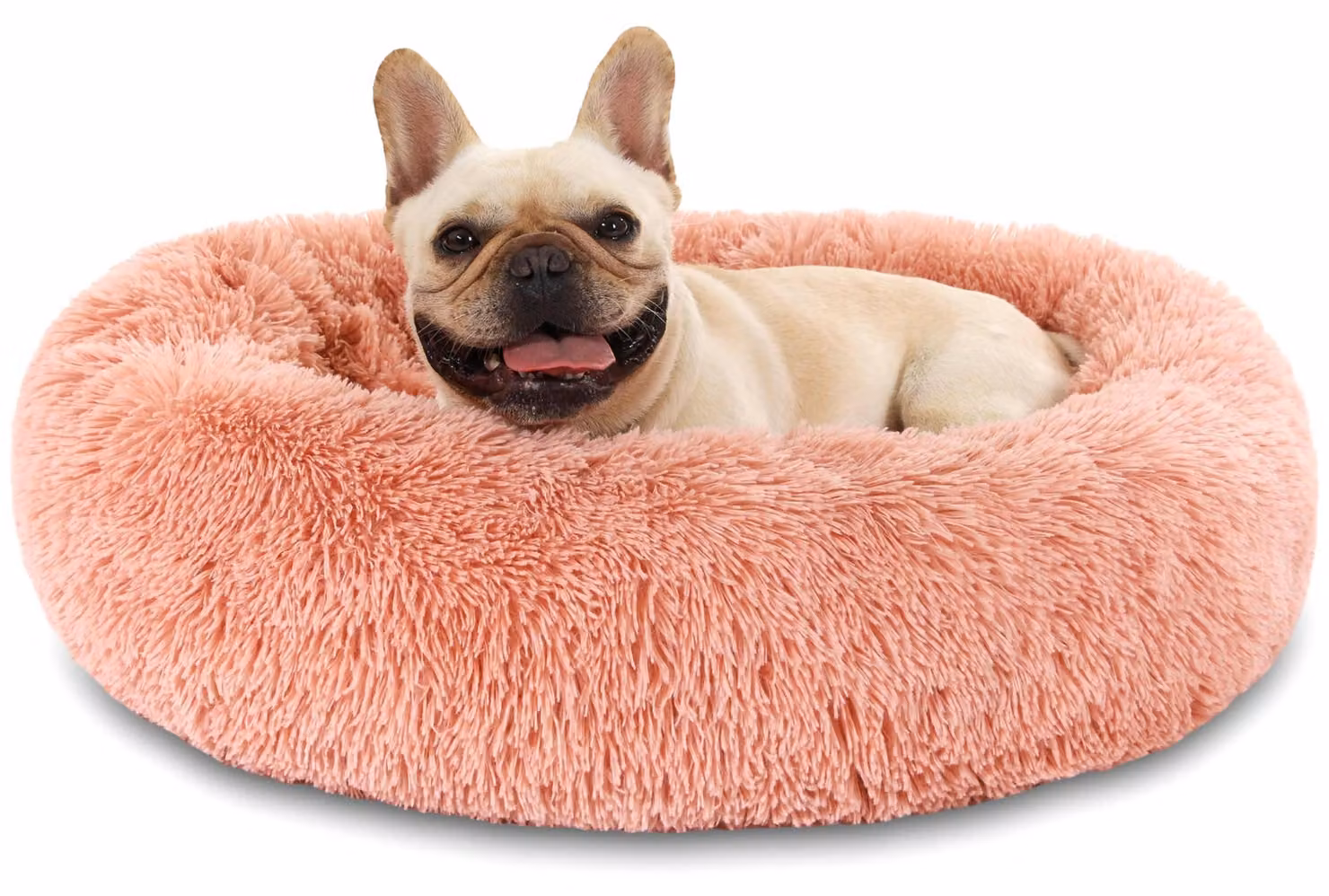 Cuccia per cani, 70 cm di diametro, forma a ciambella, lavabile, antiscivolo, per animali domestici