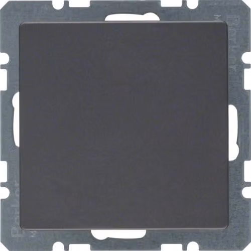 Piastra di tranciatura Berker anth/sa 10096086