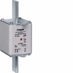 Fusibili NH NH2 gG 500V 315A Indicatore combinato con linguetta di presa in metallo