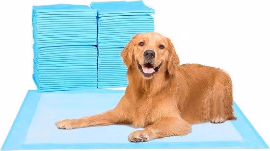 Giocattolo impermeabile per l'addestramento dei cani - Cuccia per cani blu, 100 pezzi, taglia extra small 30 x 48 cm