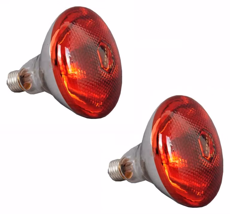 Lampada a infrarossi da 150W - Lampada a luce rossa per l'allevamento di animali - Set da 2
