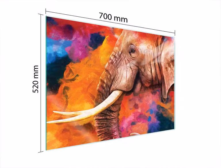 Piastra Di Protezione In Vetro Per Elefante 70X52