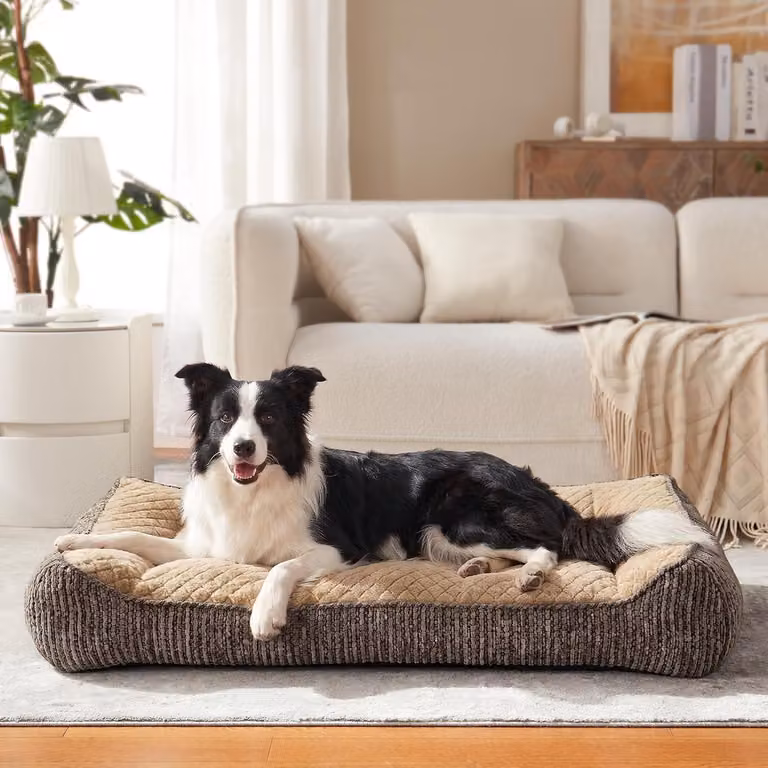 Cuccia ortopedica per cani di grossa taglia, ergonomica, dimensioni 89 x 64 x 20 cm, con base antiscivolo