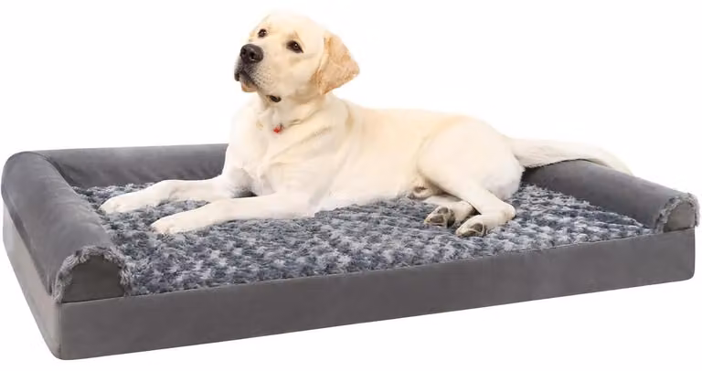 Cuccia ortopedica per cani, taglia media, 91x68x16 cm, grigia. Rivestimento removibile e lavabile, con 3 bordi rialzati, base antiscivolo e imbottitura in schiuma a coste