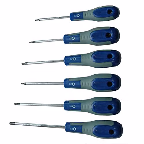 Giraviti Torx 6 pz